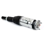 Suspension Strut Assembly