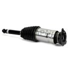 Suspension Strut Assembly
