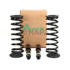 Air Spring to Coil Spring Conversion Kit