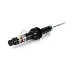 Suspension Strut Assembly