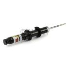 Suspension Strut Assembly