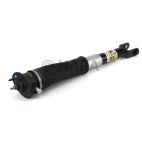 Air Shock Absorber