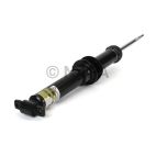 Suspension Strut Assembly