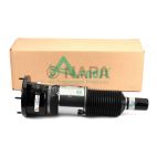 Suspension Strut Assembly