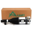 Suspension Strut Assembly