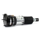 Suspension Strut Assembly