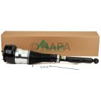 Suspension Strut Assembly