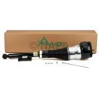 Suspension Strut Assembly