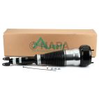 Suspension Strut Assembly