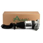 Suspension Strut Assembly