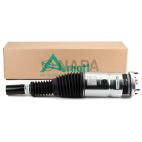 Suspension Strut Assembly