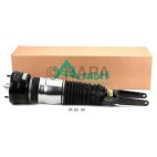 Suspension Strut Assembly