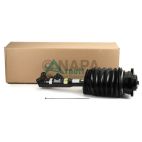 Suspension Strut Assembly