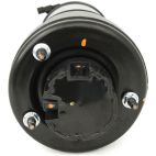 Suspension Strut Assembly