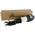 Suspension Strut Assembly