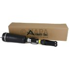 Suspension Strut Assembly