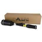 Suspension Strut Assembly