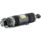 Suspension Strut Assembly