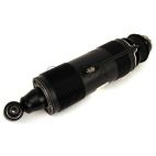 Suspension Strut Assembly