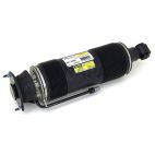 Suspension Strut