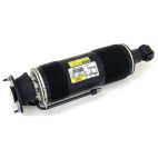 Suspension Strut Assembly