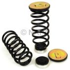 Air Spring to Coil Spring Conversion Kit