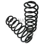 Air Spring to Coil Spring Conversion Kit