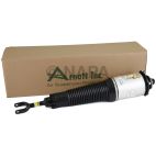 Suspension Strut Assembly