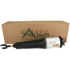 Suspension Strut Assembly