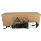 Suspension Strut Assembly