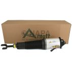 Suspension Strut Assembly