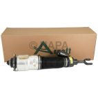 Suspension Strut Assembly