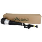 Suspension Strut Assembly