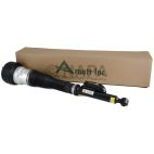 Suspension Strut Assembly