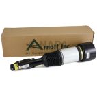 Suspension Strut Assembly