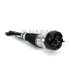 Suspension Strut Assembly