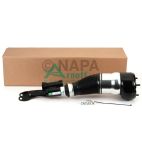 Suspension Strut Assembly