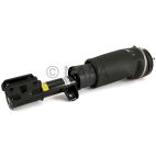 Suspension Strut Assembly