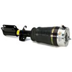 Suspension Strut Assembly