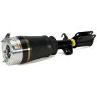 Suspension Strut Assembly