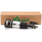 Suspension Strut Assembly