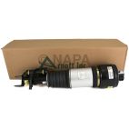 Suspension Strut Assembly