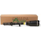 Suspension Strut Assembly