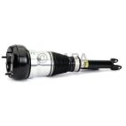 Suspension Strut Assembly