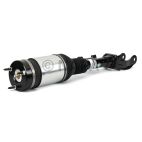 Suspension Strut Assembly