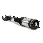 Suspension Strut Assembly