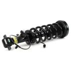 Suspension Strut Assembly