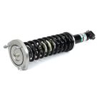 Suspension Strut Assembly