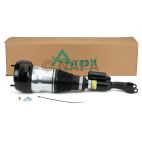 Suspension Strut Assembly