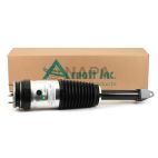 Suspension Strut Assembly